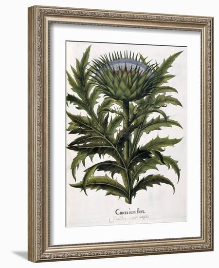 Cinera Cum Flore, 1613-Johann Georg Ziesenis-Framed Giclee Print