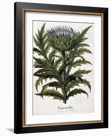 Cinera Cum Flore, 1613-Johann Georg Ziesenis-Framed Giclee Print