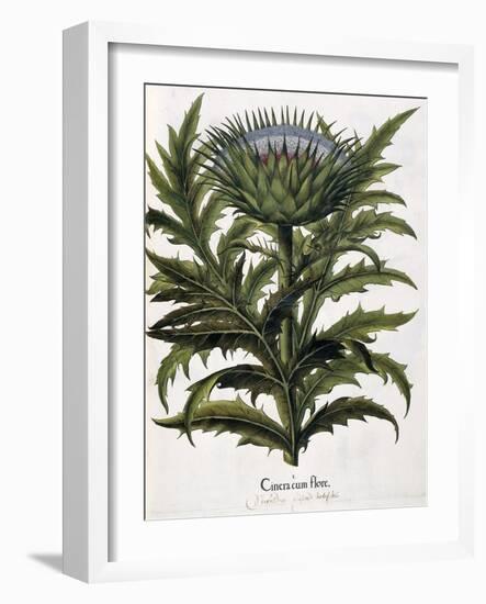 Cinera Cum Flore, 1613-Johann Georg Ziesenis-Framed Giclee Print