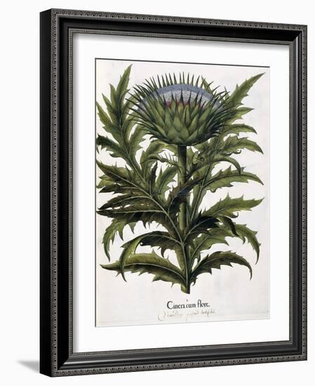 Cinera Cum Flore, 1613-Johann Georg Ziesenis-Framed Giclee Print