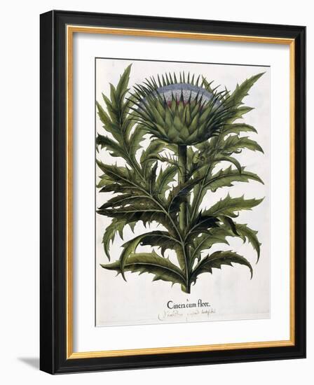 Cinera Cum Flore, 1613-Johann Georg Ziesenis-Framed Giclee Print