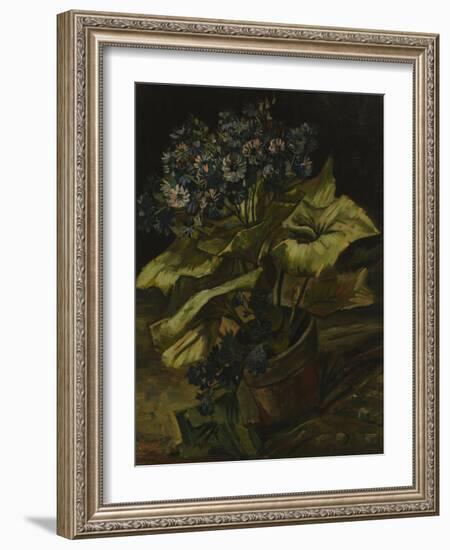 Cineraria, 1886-Vincent van Gogh-Framed Giclee Print