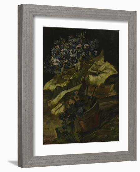 Cineraria, 1886-Vincent van Gogh-Framed Giclee Print