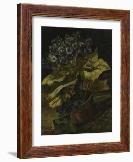 Cineraria, 1886-Vincent van Gogh-Framed Giclee Print