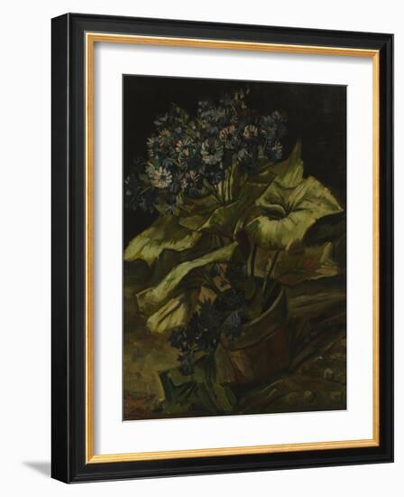 Cineraria, 1886-Vincent van Gogh-Framed Giclee Print