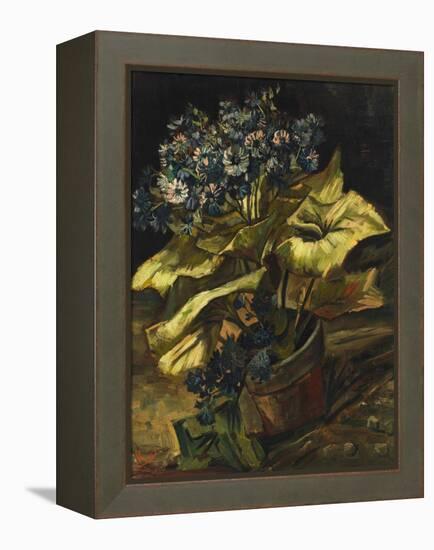 Cineraria Asters in a Pot-Vincent van Gogh-Framed Premier Image Canvas