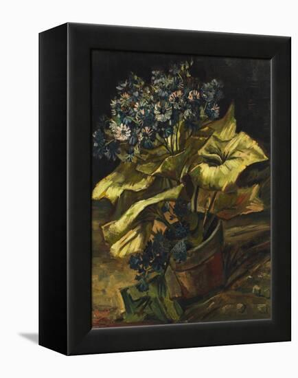 Cineraria Asters in a Pot-Vincent van Gogh-Framed Premier Image Canvas