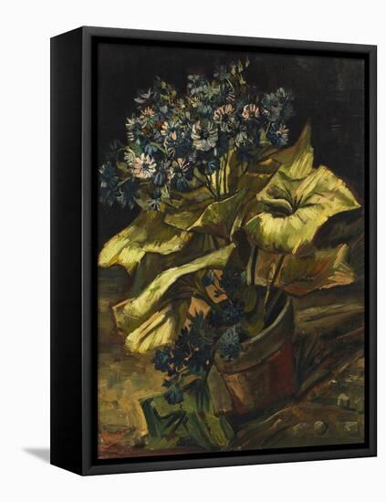 Cineraria Asters in a Pot-Vincent van Gogh-Framed Premier Image Canvas