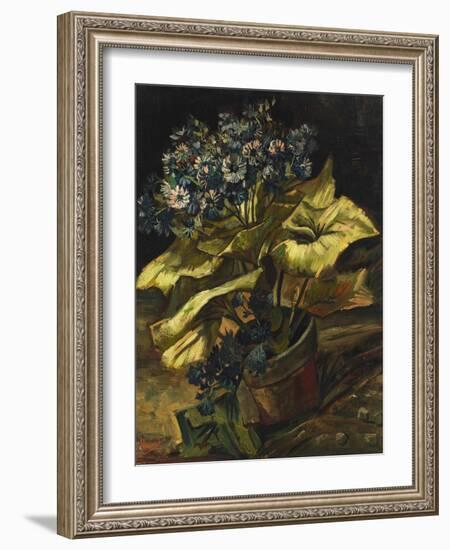 Cineraria Asters in a Pot-Vincent van Gogh-Framed Giclee Print