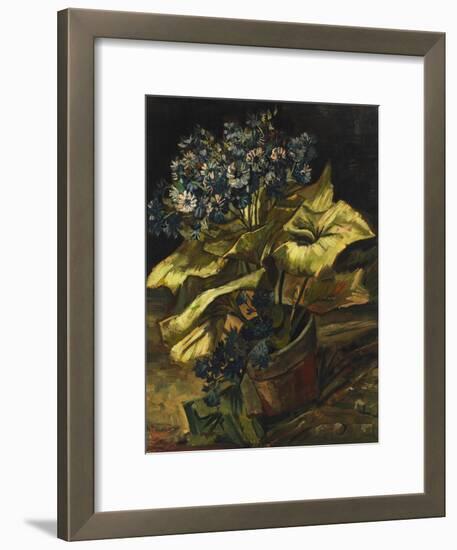 Cineraria Asters in a Pot-Vincent van Gogh-Framed Giclee Print