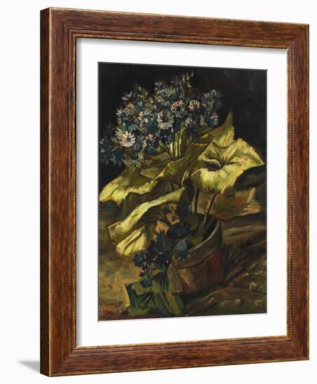 Cineraria Asters in a Pot-Vincent van Gogh-Framed Giclee Print