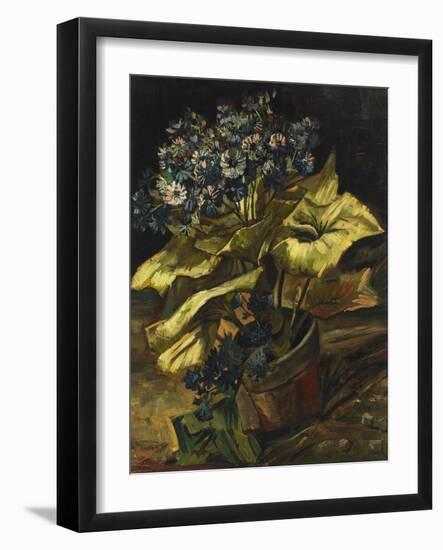 Cineraria Asters in a Pot-Vincent van Gogh-Framed Giclee Print