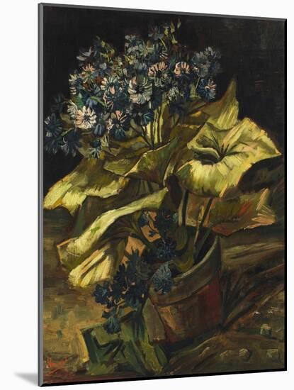 Cineraria Asters in a Pot-Vincent van Gogh-Mounted Giclee Print