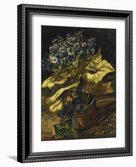 Cineraria Asters in a Pot-Vincent van Gogh-Framed Giclee Print