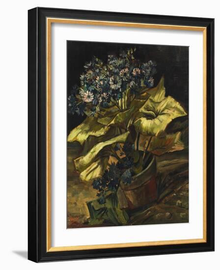 Cineraria Asters in a Pot-Vincent van Gogh-Framed Giclee Print