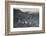 'Cingalese Tea Plantation', 1924-Unknown-Framed Photographic Print