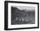 'Cingalese Tea Plantation', 1924-Unknown-Framed Photographic Print