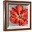 Cinnabar I-Carson-Framed Giclee Print