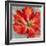 Cinnabar I-Carson-Framed Giclee Print