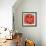 Cinnabar I-Carson-Framed Giclee Print displayed on a wall