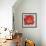 Cinnabar II-Carson-Framed Giclee Print displayed on a wall