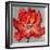 Cinnabar II-Carson-Framed Giclee Print