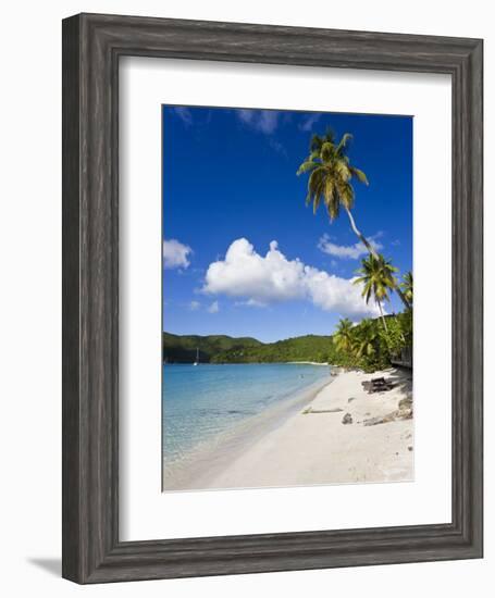 Cinnamon Bay Beach and Palms, St. John, U.S. Virgin Islands, West Indies, Caribbean-Gavin Hellier-Framed Photographic Print