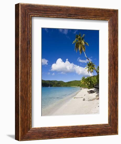 Cinnamon Bay Beach and Palms, St. John, U.S. Virgin Islands, West Indies, Caribbean-Gavin Hellier-Framed Photographic Print