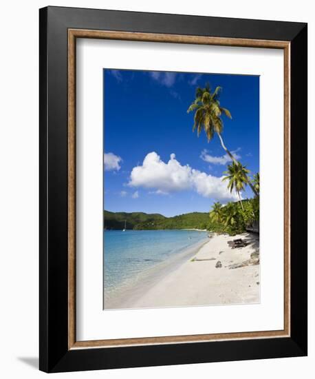 Cinnamon Bay Beach and Palms, St. John, U.S. Virgin Islands, West Indies, Caribbean-Gavin Hellier-Framed Photographic Print