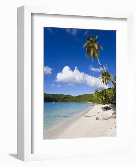 Cinnamon Bay Beach and Palms, St. John, U.S. Virgin Islands, West Indies, Caribbean-Gavin Hellier-Framed Photographic Print