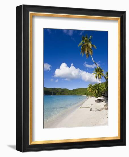 Cinnamon Bay Beach and Palms, St. John, U.S. Virgin Islands, West Indies, Caribbean-Gavin Hellier-Framed Photographic Print