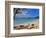 Cinnamon Bay on the Island of St. John, Us Virgin Islands-Joe Restuccia III-Framed Photographic Print