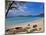 Cinnamon Bay on the Island of St. John, Us Virgin Islands-Joe Restuccia III-Mounted Photographic Print