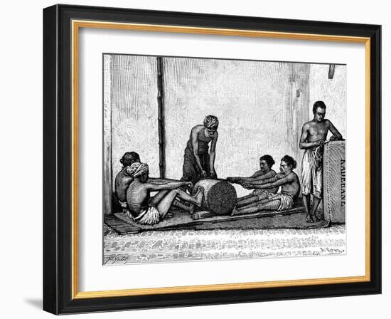 Cinnamon Packing, India, 1895-Armand Kohl-Framed Giclee Print