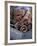 Cinnamon Sticks at the Market, Lesser Antilles, French West Indies-Yadid Levy-Framed Photographic Print