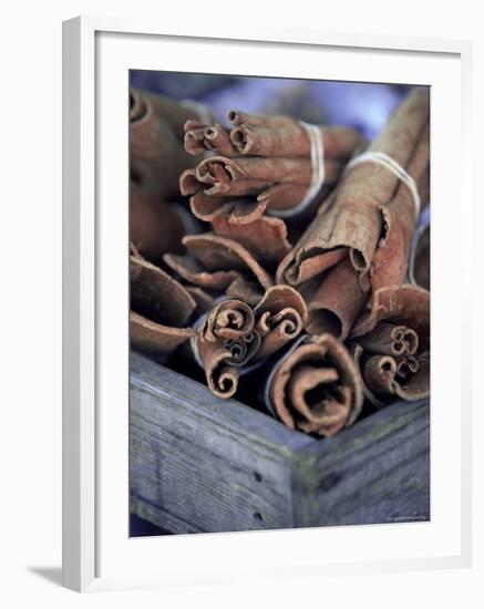 Cinnamon Sticks at the Market, Lesser Antilles, French West Indies-Yadid Levy-Framed Photographic Print