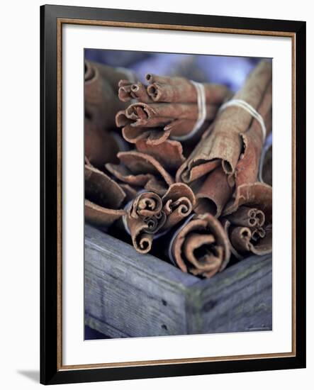 Cinnamon Sticks at the Market, Lesser Antilles, French West Indies-Yadid Levy-Framed Photographic Print