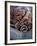 Cinnamon Sticks at the Market, Lesser Antilles, French West Indies-Yadid Levy-Framed Photographic Print