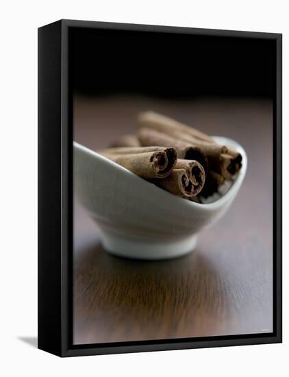 Cinnamon Sticks in Small Bowl-Henrik Freek-Framed Premier Image Canvas