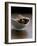 Cinnamon Sticks in Small Bowl-Henrik Freek-Framed Photographic Print