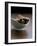 Cinnamon Sticks in Small Bowl-Henrik Freek-Framed Photographic Print