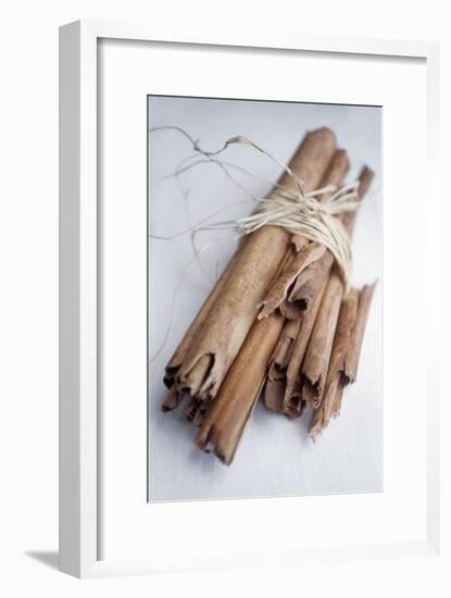 Cinnamon Sticks-Veronique Leplat-Framed Photographic Print