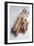 Cinnamon Sticks-Veronique Leplat-Framed Photographic Print