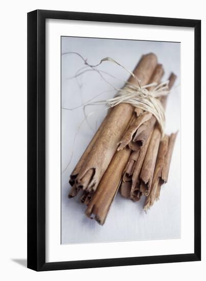 Cinnamon Sticks-Veronique Leplat-Framed Photographic Print