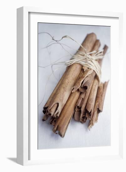 Cinnamon Sticks-Veronique Leplat-Framed Photographic Print