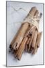 Cinnamon Sticks-Veronique Leplat-Mounted Photographic Print