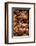 Cinnamon Tree, Cinnamomum Sp., Bark, Cinnamon Bark-Catharina Lux-Framed Photographic Print