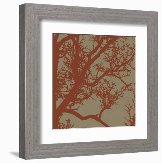 Cinnamon Tree IV-Erin Clark-Framed Art Print