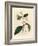 Cinnamon Tree, Laurus Cinnamomum-James Sowerby-Framed Giclee Print