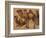 Cinq chameaux-Pieter Boel-Framed Giclee Print